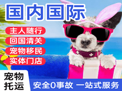 奇台江布拉克机场快递国际宠物托运 【国